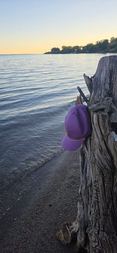 A purple baseball cap, adorned with a gold chain detail, rests on the weathered bark of a driftwood log on a pebble beach. The log is situated on the shore of Issyk-Kul lake in Kyrgyzstan. The water, rippling gently, meets the shore where small stones and dark sand are visible. In the distance, a tree-lined shore creates a dark silhouette against a pale, hazy sky, hinting at either dawn or dusk. The overall scene is serene and still.