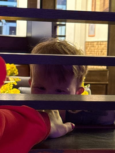 The image presents a close-up view through a set of dark, vertical wooden or metal slats, which dominate the foreground. Peering through the center of these slats is the head of a young child, likely a boy, with light brown or blonde hair. His face, particularly his eyes, is visible and appears to be looking upwards and slightly to the right with an expression of curiosity or engagement. The upper part of his head and face are more illuminated than the lower, which is in shadow.
To the right of the child, an adult's hand is visible, resting against one of the dark vertical supports. The hand has fingernails painted in a dark pink or red color, and part of a bright red sleeve or garment is also seen. Below the child's head, behind the slats, there are soft, blurred hints of yellow objects, possibly decorative flowers.
The background behind the child is lighter and out of focus, suggesting an indoor setting with indistinct architectural features or windows. The overall lighting is subdued, contributing to a soft, intimate ambiance. No specific time of day can be determined from the image. There is no visible text. The location context provided for this media file is Bredene, Belgium. The scene captures a moment of observation or interaction, with the child intently looking through the barrier while accompanied by an adult.