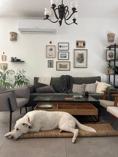The image shows the interior of a living room in a home located in the city of Alon HaGalil, Israel, at the coordinates 32.755 latitude and 35.219 longitude. The living room is decorated in a modern style. The walls are painted white and are decorated with a variety of framed artwork, a potted plant sits on a shelf, and there is a white air conditioner unit on the wall. The furniture is arranged in a comfortable seating area. There is a green sectional sofa with white throw pillows, a grey armchair, and a coffee table with a glass top and wooden shelves. There is a white dog lying on a brown rug in front of the coffee table.  The dog's head is resting on the rug and its tail is curled up.  The scene is peaceful and relaxing.