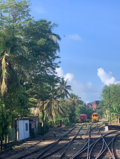 A wide-angle, eye-level shot captures a sunlit outdoor scene of a train yard in Aluthgama, Sri Lanka. The foreground is dominated by a complex network of railway tracks, with several converging and diverging lines. In the middle ground, two trains are parked on separate tracks. The train on the left is a red, unpowered carriage, while the train on the right is a yellow locomotive. A figure in a light-colored shirt and dark pants walks between the tracks in the middle ground, facing away from the camera. To the left of the tracks in the middle ground, there is a small, white building with a dark-colored door and a window. Behind the building, a fence is visible. In the background, lush green trees and palm trees line the edges of the scene. The sky above is a clear, bright blue with scattered white clouds. The overall impression is one of a functional, if somewhat rustic, train depot surrounded by abundant tropical vegetation.