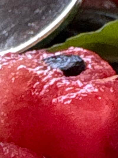 An extreme close-up image, situated in La Fortuna, Costa Rica, features a prominent section of a red, fleshy object with a mottled surface displaying lighter pinkish-white speckling. Embedded within this red surface is a single, irregularly shaped, approximately oval, dark object. In the upper left quadrant, a curved, silvery-grey object with a bright white rim is partially visible, consistent with a container's edge. A blurred dark green form, resembling foliage, occupies the upper right background. No individuals or active events are present in the scene.