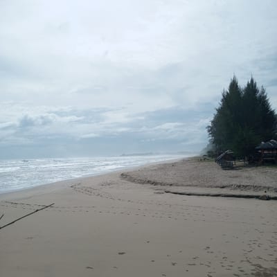 The image shows a wide, sandy beach with a cloudy sky. The ocean is visible on the left side of the frame, with gentle waves rolling onto the shore. Footprints are scattered across the sand. In the background, on the right, there is a line of tall evergreen trees and several small thatched-roof huts. The overall scene is natural and serene. This appears to be a beach in Meudheun, Indonesia, given the presence of tropical vegetation and coastal features typical of the region.