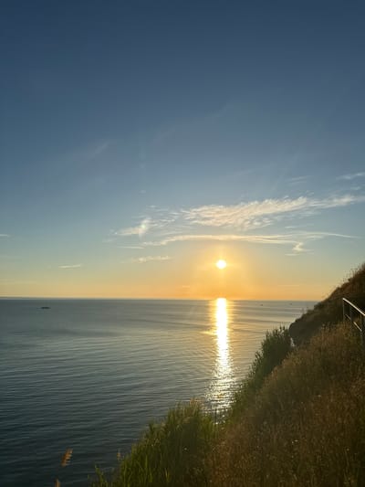 A wide-angle, vertical shot captures a tranquil seascape at dawn or dusk. The sun, a bright orb, sits low on the horizon, casting a shimmering golden path across the calm, blue-grey water. Wispy white clouds streak across the clear blue sky, some tinged with the warm hues of the setting or rising sun.
In the distance, a few small boats are visible, mere specks on the vast expanse of the sea. The foreground is dominated by a grassy cliffside, lush with dry grasses and reeds, suggesting a coastal location. A metal railing runs along the edge of the cliff, indicating a public access point or viewpoint. The overall impression is one of serenity and natural beauty. The scene is situated in the city of Varvarovka, Russia, likely near the coast. There are no people or animals visible in the frame.