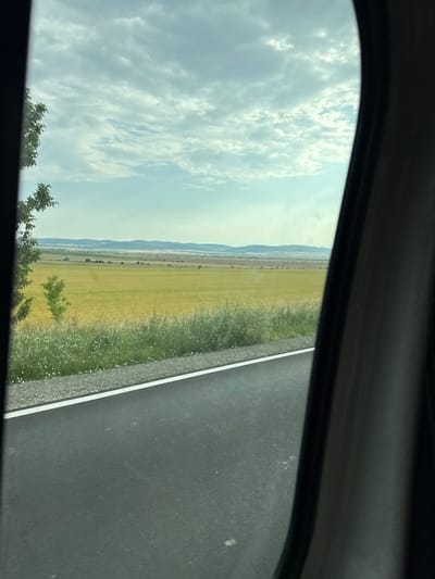 This is an outdoor, daytime, eye-level shot taken from inside a vehicle looking out through the window. The scene depicts a rural landscape with a road in the foreground. The road is asphalt with a white line marking the edge. To the left of the road, there is a strip of gravel and then a field of tall, green grass with scattered small white flowers. Beyond the grass is a large field of yellow-green crops, possibly wheat or barley, stretching towards a distant horizon. In the far distance, there are rolling hills under a partly cloudy sky. A lone tree with green foliage is visible on the left side of the frame, closer to the viewer. The right side of the image is partially obscured by the interior of the vehicle, possibly a car window frame or interior panel. The location is identified as Venets, Bulgaria. There are no people or animals visible in the image.