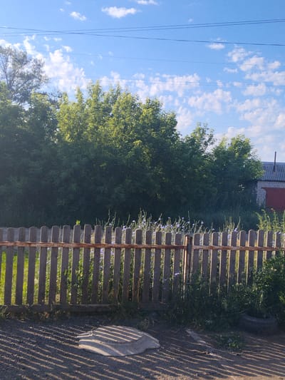 The image depicts an outdoor scene in the city of Aleysk, Russia, under a blue sky with scattered white clouds. In the foreground, a weathered wooden fence with vertical planks runs horizontally across the frame. Behind the fence, there is overgrown green vegetation, including some small purple flowers. To the right of the vegetation, a brick building with a corrugated roof and a red door is visible. The ground in front of the fence is a gravelly surface, and a circular concrete slab is partially visible on the ground, casting long shadows from an unseen object. Overhead, power lines are strung across the sky. The overall impression is of a rural or semi-rural setting in daylight. There are no people or animals visible in the image.