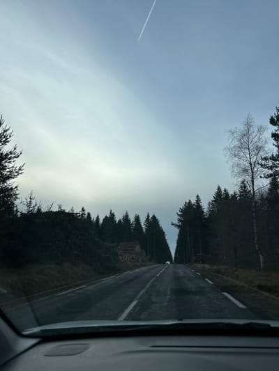 The image presents a two-lane asphalt road traversing a forested area within Sainte-Sigolène, France, viewed from the interior of a vehicle. The road surface appears damp, extending uphill and marked by white broken lane lines. To the left, a dense coniferous forest borders the road, featuring a large accumulation of dark forestry debris and a distinct stack of felled logs. To the right, a similar dense coniferous forest lines the road, with one bare deciduous tree visible among the conifers. In the far distance, a small, light-colored vehicle, possibly with illuminated headlights, is observed on the road. The sky is overcast, displaying a pale blue-grey coloration, and a single aircraft contrail is visible in the upper left quadrant. The bottom edge of the image reveals the upper portion of a vehicle's dashboard and a reflection on the windshield. No individuals are visible.