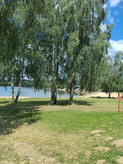The image depicts a scenic view of a lake with a sandy shore, framed by several large trees with light-colored bark and green foliage. The foreground is a grassy area, with patches of dry, yellowed grass and areas of lush green grass. In the background, the lake stretches out under a bright blue sky with scattered white clouds. A bridge is visible in the distance, crossing the lake. A single red pole, likely part of a playground or sports equipment, is positioned on the right side of the image, partially obscured by grass. The setting appears to be a park or recreational area, possibly near Bližná, Czechia, given the provided context. There are no people clearly visible in the image. The overall impression is a peaceful, natural landscape on a sunny day.