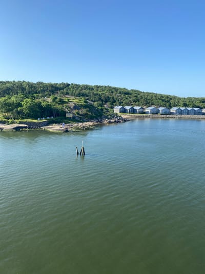 The image depicts a serene coastal scene, likely in the archipelago of Gothenburg, Sweden, on a clear, sunny day. The foreground is dominated by calm, greenish-blue water with gentle ripples. In the water, a few wooden posts protrude, appearing to be part of a submerged structure or a marker.

The middle ground features a rocky shoreline dotted with vegetation. A small, yellow building with a dark roof is situated on this shore, accompanied by some signage. Adjacent to this, a row of modern, grey residential buildings with white roofs stretches along the coastline, separated from the water by a low wall and a narrow beach. These houses appear to be terraced or semi-detached.

The background is a lush green, tree-covered hillside, suggesting a natural, wooded environment. The sky above is a clear, vibrant blue, indicating fair weather. The overall impression is one of a tranquil, residential area nestled within a natural coastal landscape. There are no people visible in the image.