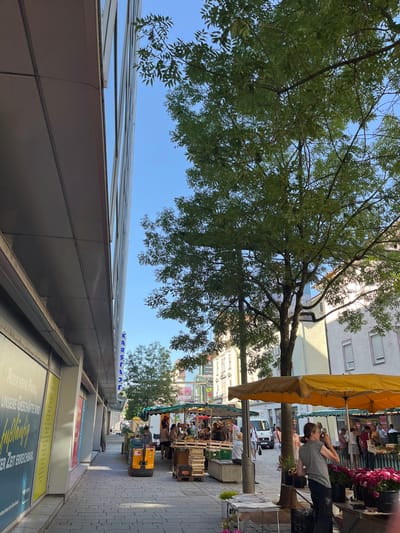This is a tilted, eye-level, medium shot of a street scene in Esslingen am Neckar, Germany. The scene appears to be a street market on a bright, sunny day, likely mid-morning or early afternoon, given the clear blue sky and strong shadows.

In the foreground, a modern glass-fronted building runs along the bottom of the frame, reflecting the sky and tree. Above this, a large tree with abundant green foliage dominates the left side of the image, its branches reaching across the frame. The sky is clear and blue.

The right side of the image depicts a bustling street market. Several stalls are visible, with yellow and green awnings providing shade. People are browsing at the stalls, and some are seated. Items for sale appear to include produce and flowers, with crates and baskets prominently displayed. One stall has a prominent display of pink flowers. A person wearing a striped t-shirt and dark pants is visible at one of the stalls, looking towards the left. Further down the street, a yellow pallet jack is being used, suggesting the movement of goods.

Visible text includes "MARKSL" in blue letters on the side of the modern building and on signs further down the street. There are also advertisements on the glass-fronted building, including large yellow posters with German text. One poster reads "Aber Keine Panik, Unsere Geschäfte sind", and another contains text that appears to be "PUBLIKUM ZUM ERREICHEN IST ZEIT ERREICHBAR".

The overall impression is a lively and vibrant market day in a European city.