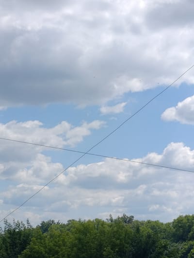 This is a vertical, outdoor, medium-shot photograph of a sky filled with clouds, with the tops of trees visible at the bottom. The sky is predominantly blue with scattered white and gray clouds. Two dark power lines cross the frame diagonally, forming an 'X' shape. The trees at the bottom are lush and green, suggesting a foliage-rich environment. The image appears to be taken during the daytime, with natural light illuminating the scene. No people or animals are clearly visible in the photograph. The scene depicts a natural setting with man-made elements in the form of power lines.