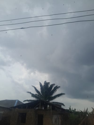 The image presents an outdoor scene in Ifo, Nigeria, characterized by an overcast, grey sky that fills the majority of the frame. Multiple small, blurry circular artifacts, consistent with water droplets on a lens or viewing surface, are scattered across the upper two-thirds. Three parallel utility lines, likely power lines, traverse the upper portion of the scene horizontally; one line exhibits a distinct, localized blue-tinged deformation or splice. A prominent, dark green palm tree stands centrally in the midground, its fronds silhouetted against the sky. Below the palm tree, a multi-story, dark-toned building, appearing to be under construction or in a state of disrepair, is visible. This structure is composed of concrete blocks and features exposed roof framing without complete covering in sections, along with dark, empty window and door apertures. To the left, another building with a dark, sloped roof partially covered by a light blue tarp or material is present. Further dense green foliage is discernible in the background to the right. No individuals, discernible actions, or interactions are visible in the scene.