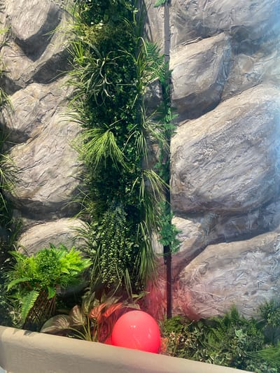 The image shows a close-up of a decorative rock wall covered with various artificial plants. The rock appears to be textured and colored in shades of gray and brown, with some lighter highlights suggesting a rough surface. A vertical strip of darker material, possibly a pipe or support, runs down the center-left of the image, partially obscured by the foliage.
The plants include lush green ferns, long, thin grass-like foliage, and smaller leafy plants. They are arranged in dense clusters, creating a naturalistic, jungle-like appearance. In the lower right portion of the image, a bright pink spherical object is visible, illuminated by a reddish light source, casting a warm glow on the surrounding greenery and rock.
The scene is indoors, as suggested by the consistent lighting and the controlled environment of the artificial plants. There are no people visible in the image. The overall impression is of a simulated natural environment, possibly a display in a zoo, aquarium, or a themed restaurant. The location in Berdsk, Russia, is not visually identifiable from the image itself, as there are no distinguishing landmarks or contextual clues.