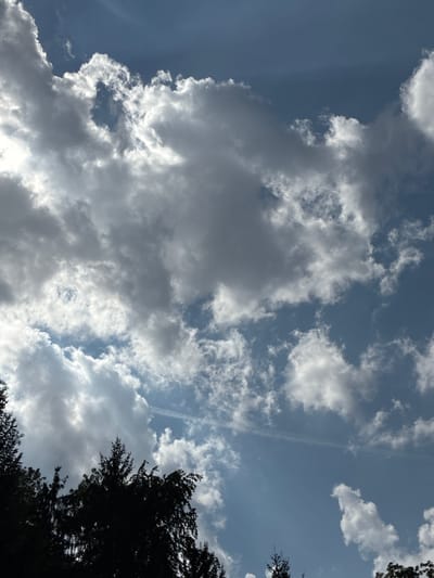 The image is a low-angle shot looking up at a sky filled with dramatic, volumetric clouds against a bright blue sky. The sun is partially obscured by the clouds, casting a bright, diffused light. There are silhouetted treetops in the foreground, suggesting a natural or park-like setting within the city of Bad Hersfeld, Germany. The clouds appear to be cumulus and stratocumulus formations, with some wispy cirrus clouds higher up and a faint contrail visible in the upper right quadrant. The overall mood is serene and contemplative, with the dynamic sky dominating the composition. There are no people or visible objects other than the trees and sky.