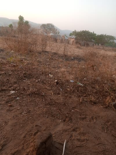 A parched landscape dominates, featuring arid earth strewn with dry vegetation. Scattered trash and debris are visible among the dry grasses and twigs. In the background, rural structures, possibly houses, are nestled amidst sparse trees. A distant mountain range is faintly discernible through the hazy horizon. The overall tone suggests a dry, perhaps post-fire, environment.