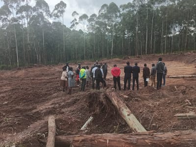 A group of approximately 20 individuals stand on a muddy, cleared patch of land within what appears to be a deforested area. A dense forest of tall, slender trees lines the background under an overcast sky. In the foreground are felled logs and uprooted stumps. Some individuals in the group are dressed in formal attire such as suits, while others wear casual clothing. The location is Moticho ward, Kenya.