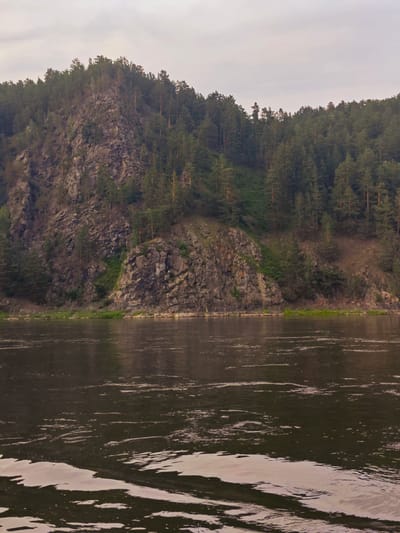 A vertical, medium-shot image captures a rocky mountainside covered in dense evergreen trees, bordering a dark, rippling river. The sky above is overcast and pale. The mountainside dominates the upper two-thirds of the frame, displaying rough, grey rock formations interspersed with patches of greenery and numerous coniferous trees. The river occupies the bottom third of the image, its surface reflecting the muted light and showing patterns of movement. The scene is devoid of any human presence. This view is likely from the town of Beregovaya-Podemnaya, Russia, a location known for its natural landscapes along the river.