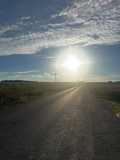 An outdoor, low-angle, full shot captures a paved road stretching into the distance. The road is dark gray with a gravelly texture. On either side of the road are fields of dry grass and weeds, with scattered bushes and trees visible in the far distance. The sky above is a vibrant blue, dotted with white, wispy clouds. A bright sun with visible rays shines in the upper middle section of the frame, casting a glare on the road and illuminating the scene. Several tall, lattice-style electricity pylons are visible in the background, as well as power lines stretching across the horizon. The scene appears to be set in a rural or semi-rural environment. There are no people or animals visible in the image. The lighting suggests it is either sunrise or sunset. The image was taken in the Borough of Swale, United Kingdom.