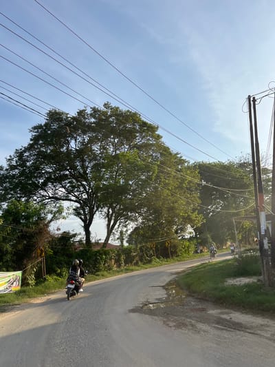 The image depicts a rural road in Alurcucur, Indonesia, on a clear day. The road is paved with some patches of gravel and features puddles from recent rain. A large, leafy tree dominates the left side of the frame, with its branches extending over the road. Power lines crisscross the sky, supported by wooden poles on the right side of the image. Two people are riding a motorcycle on the road, with one person driving and the other as a passenger. Further down the road, two more motorcycles are visible, each with a single rider. The surrounding vegetation includes lush green bushes and trees. A banner is affixed to a post on the left side of the road, and a yellow directional sign is also visible. The overall scene suggests a typical day in a rural Indonesian community.