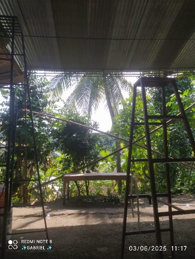The image was taken on March 6, 2025, at 11:17 AM. It appears to be taken from a small building or shelter with a corrugated metal roof, located in Karangsambung, Indonesia. The building is surrounded by lush greenery with palm trees visible in the background.  A wooden ladder,  a wooden table, and a metal ladder are in the foreground. The ground is covered in dry leaves and dirt. The sky is mostly obscured by foliage.  The image is taken from a low angle, facing out from the shelter.  The building's corrugated metal roof is prominent and appears to be a common building material in the region.