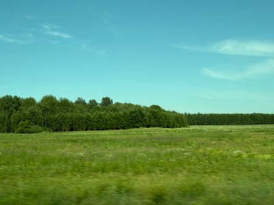 The image depicts a vast, green field under a clear blue sky. A dense line of trees forms a dark green border across the horizon, separating the field from the sky. The grass in the field appears slightly blurred, suggesting motion or a shallow depth of field. There are no people or man-made structures visible in the scene. The overall impression is one of a natural, undeveloped landscape, possibly in a rural area. The image is a photograph taken from a moving vehicle, as indicated by the motion blur in the foreground. The sky is a pale blue with a few wispy clouds scattered across it. The trees are various shades of green, suggesting a mix of deciduous and coniferous species. The field is covered in lush green grass with patches of smaller, lighter-colored wildflowers.