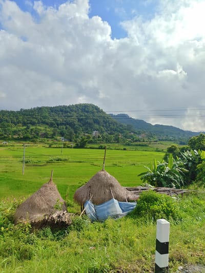 The image captures a rural landscape in Tharpu, Nepal, under a partly cloudy sky. In the foreground, two large haystacks are prominently displayed, with one covered partially by a blue tarp. A white and black striped marker post stands to the right. Beyond the haystacks, vibrant green rice paddies stretch towards a lush, tree-covered hill in the background. Scattered houses and smaller structures are visible on the hillside, blending into the natural terrain. Power lines crisscross the sky, indicating the presence of infrastructure in this otherwise pastoral setting. The overall scene is one of agricultural activity and natural beauty.