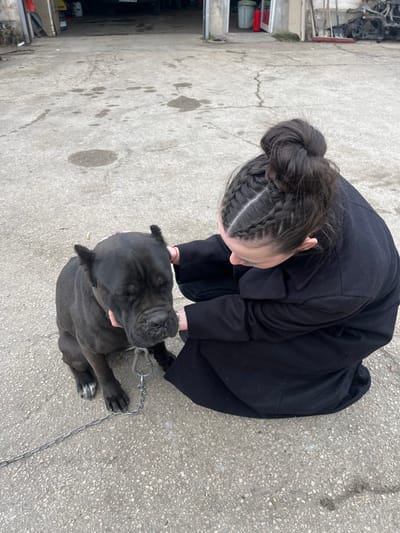In Брусовeте, Bulgaria, a female individual crouches on a stained, cracked concrete surface, interacting with a large, dark-furred Cane Corso dog. The individual, dressed in a dark coat and dark pants, has dark hair styled in cornrows leading to a top bun. Her hands are positioned on the dog's head and neck. The dog, with cropped ears and a wrinkled snout, appears to have its eyes closed and is wearing a collar with a metal chain leash attached. The background reveals an outdoor area: a partially open garage entrance with a vehicle visible inside on the left, and a collection of discarded vehicle components, a green trash bin, and a red container against a building wall on the right. The scene is illuminated by overcast natural light.