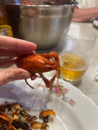 A close-up shot shows a person's hand holding a cooked crawfish. The crawfish is bright red and appears to have been recently cooked, with visible legs and antennae. In the background, a glass of beer is partially visible, along with a large metal pot and a plate with more crawfish shells. The scene suggests a meal or gathering where crawfish are being consumed, possibly outdoors given the presumed rural setting. The image quality is slightly blurry, and the focus is on the crawfish in the hand.