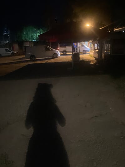 The image depicts a nighttime scene on a street in Surami, Georgia. In the foreground, a dark silhouette of a person is cast on the asphalt. The person appears to be standing and facing away from the camera, with their shadow elongated by the artificial light source. Behind the shadow, several white vans are parked or driving on the street. One van in the middle ground has "SPRINTER" written on its side. Buildings with awnings and streetlights are visible in the background, indicating a commercial or residential area. The overall lighting is dim, with the streetlights providing the primary illumination, creating strong shadows and a nocturnal ambiance.