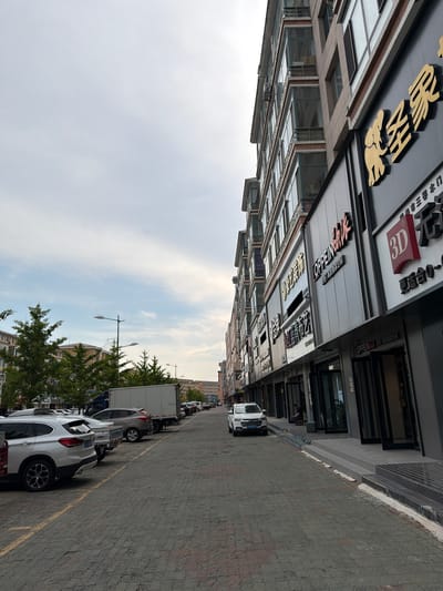 The image depicts a street scene in Hunchun, China. On the right side of the street, a modern, multi-story building features storefronts with large glass windows and prominent signage, some of which are in Chinese characters. The building's facade is a mix of dark grey panels and lighter colored architectural elements, with glass balconies on the upper floors. Several cars are parked along the left side of the street, which is paved with textured gray bricks. A white SUV is in the foreground on the left, and other vehicles, including a white truck, are parked further down the street. Trees with green foliage are visible behind the parked cars. The sky is overcast with soft, diffused light. A person is sitting on the steps in front of one of the storefronts on the right.