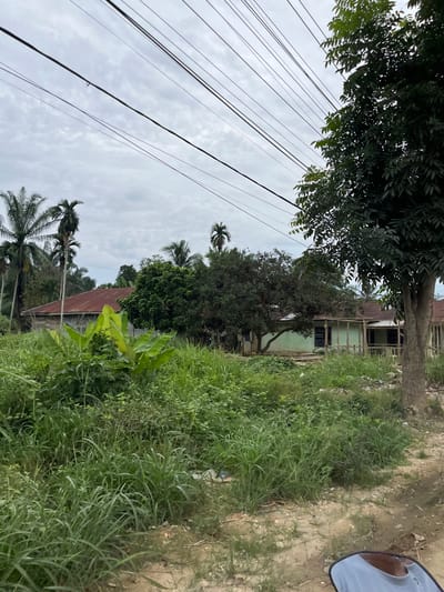 In Tanahterban, Indonesia, a roadside scene unfolds under an overcast sky, featuring lush vegetation, residential structures, and overhead utility lines. Tall palm trees and dense foliage dominate the landscape, creating a vibrant green environment. Two houses are visible: one with a rusted, corrugated metal roof, and another with a light green exterior and a porch supported by wooden posts. Utility lines stretch across the sky, interspersed with the branches of a large, leafy tree. The foreground is characterized by a dirt path and overgrown grass, suggesting a rural or semi-rural setting. No people are visible in the image.