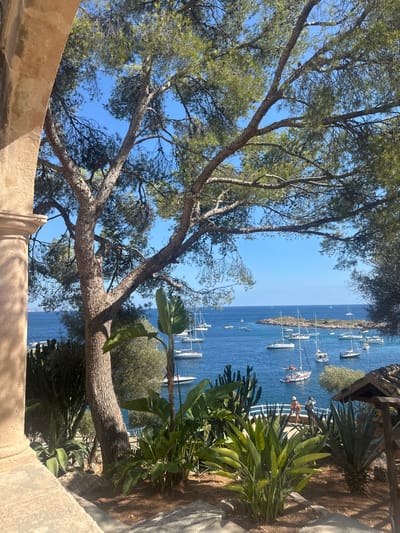 The image presents a sunlit coastal scene in Cas Català-ses Illetes, Spain, viewed from an elevated position. In the foreground, a weathered light-brown stone column partially frames the left, alongside dry earth and dense vegetation including a prominent multi-trunked pine tree with green needles, large-leafed plants (resembling Strelitzia), columnar cacti, and spiky succulents.
The midground features a white railing, indicating a pathway or overlook, where two individuals are standing. One person, wearing a reddish-orange top and dark shorts, is oriented towards the bay, while the second individual is partially obscured. To the far right, a section of a rustic wooden structure with a dark roof is visible.
The background consists of a clear, cloudless blue sky above a calm, deep blue bay. Approximately 20 to 25 vessels, predominantly white-hulled sailboats of varying sizes, are anchored or moored across the water. Several smaller motorboats or tenders are also present. A small, rocky islet with sparse green vegetation is centrally located within the bay. The scene is illuminated by bright daylight.