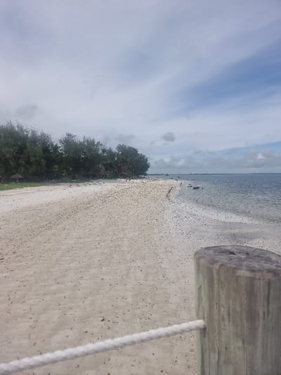 The scene depicts a coastal environment in Michamvi Kae, Tanzania, viewed from a slightly elevated position or structure. In the immediate foreground, a weathered light-colored wooden post, part of a railing, is cropped on the bottom right. A white, braided rope is visible passing horizontally across the bottom of the frame, connected to or extending from the post.
The midground features a wide expanse of light-colored sand, heavily dotted with numerous small, dark particles or debris, particularly concentrated towards the waterline. The sandy beach curves gently to the right, meeting calm, dark blue-grey water that extends towards the horizon. Along the immediate waterline, additional small, dark debris is scattered both on the sand and partially submerged.
On the left side of the frame, a dense line of green trees and foliage borders the beach, extending into the background. A small, dark structure with a sloped roof is partially visible within the trees on the far left. The sky overhead is largely overcast with scattered grey and white clouds, though patches of lighter blue are visible towards the right horizon. No human figures or active subjects are present in the frame.