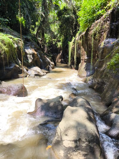 The photograph captures a scene along a river in Batuan, Indonesia. The river flows through a narrow channel between steep, rocky banks. The water is turbulent and appears brown or muddy. Large, dark rocks are visible within the river and along its edges. Vegetation, including various plants and vines, grows densely on the rocky walls of the channel. A long, thin vine hangs down from the vegetation on the left side of the frame. The scene suggests a natural environment, possibly a gorge or ravine.