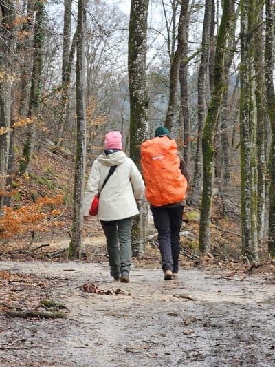 Two individuals are depicted from behind, walking away from the viewer on a dirt and mud-covered trail within a deciduous forest in Waldbillig, Luxembourg. The left individual wears a light-colored jacket, dark green trousers, a pink beanie, and carries a red cross-body bag slung over their right shoulder. The right individual wears dark trousers, a dark green beanie, and carries a large, bright orange backpack with a visible logo on its rear surface. The surrounding environment consists of numerous bare trees with predominantly dark trunks, some displaying moss. Fallen brown leaves are scattered across the forest floor and trail. Lighting is consistent with an overcast day.