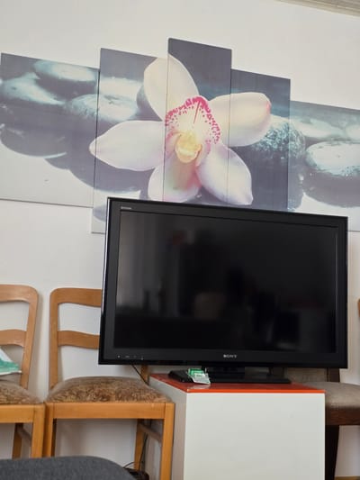 The image shows a close-up of a television mounted on a wall next to a large piece of wall art depicting an orchid and stones. The television is a black Sony Bravia model. The wall art is composed of several overlapping panels, with the orchid image prominently displayed in the center. The background of the wall art appears to be a dark, abstract pattern.

To the right of the television, there is a white shelf unit with an orange trim. Part of a wooden chair with a patterned seat is visible underneath the shelf. The setting appears to be an indoor space, likely a living room or entertainment area.

There is some visible text on the television, specifically the "SONY" and "BRAVIA" logos. No people are visible in the image. The lighting suggests it is daytime, and there are no indications of weather conditions. The overall impression is a modern and decorative living space. The location is identified as Herrenberg, Germany.