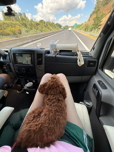 The image captures the interior of a vehicle, likely a van, as it travels on a highway. The perspective is from the passenger seat, looking forward and towards the right. A small, fluffy brown dog is resting on the lap of a person whose legs are visible in the foreground. The person is wearing a green skirt with white stripes and a pink top.
The dashboard of the vehicle is visible, with a navigation screen displaying a map. A white thermos and a beige clutch bag are placed on the dashboard. A car dashcam is mounted on the windshield. Outside the vehicle, a sunny day with scattered clouds is evident, with a highway lined with green vegetation and trees. The road appears to be in a rural or semi-rural setting. No specific landmarks indicating the location in Rizana, Greece, are visible in the image.