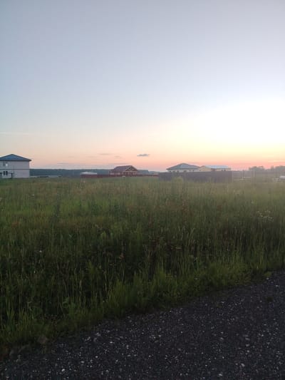 A wide-angle, low-angle exterior shot captures a rural landscape at dusk in Rastunovo, Russia. The foreground is dominated by a gravel path, which transitions into a field of tall green grass, interspersed with wild flowers and weeds. In the mid-ground, several houses are visible. On the left, a light-colored, multi-story house with a dark roof stands next to an unfinished building. Further to the right, a darker-roofed house with a visible gable is situated behind a fence. Another light-colored, low-rise building with a dark roof is seen on the far right. The background features a dense line of trees and a vast, clear sky that transitions from a pale blue at the top to soft pink and orange hues near the horizon, indicating the setting sun. No people are visible in the frame.