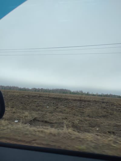 The image, taken from inside a moving vehicle, depicts a landscape in Perevoznoye, Russia on an overcast day. A recently plowed field stretches across the foreground. Remnants of dry vegetation are visible within the plowed soil. A thin line of trees runs along the horizon, separating the field from the grey sky. Power lines run horizontally across the upper portion of the frame. The vehicle's window frame is visible at the bottom of the image, with a portion of the side mirror visible on the left.