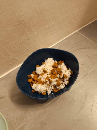 In an overhead shot, a dark blue pet bowl sits on a light-colored, marble-patterned floor. The bowl contains a mixture of cooked white rice and small, brown, pellet-shaped kibble, likely dog or cat food. The kibble is scattered throughout the rice. The background consists of a light beige wall with a textured finish, showing faint horizontal lines and some small imperfections or bumps. A sliver of light is cast on the lower portion of the wall from an unseen light source, creating a slight shadow effect. The setting appears to be indoors, possibly a kitchen or dining area, given the flooring and wall treatment. No people are visible in the frame. The image is well-lit, and the focus is on the pet bowl and its contents. The scene suggests a pet is about to be fed or has been fed.