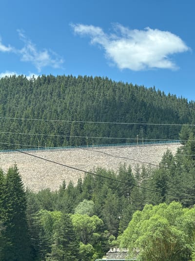 The image shows a wide, stone dam constructed at the base of a densely forested mountain. The dam is covered in numerous small, light-colored stones and has a blue railing running along its top edge, with lampposts spaced at intervals. Power lines are strung across the foreground, obscuring parts of the dam and the forest. The mountain behind the dam is covered in a thick canopy of dark green coniferous trees, creating a uniform texture against the bright blue sky with scattered white clouds. The lower part of the image shows a vibrant green forest with a variety of deciduous and coniferous trees. This scene is located in Dospat, Bulgaria.