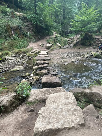 This image depicts a natural outdoor scene in Consdorf, Luxembourg, featuring a forest and a stream. A path made of stepping stones crosses the stream, with larger rocks and soil on either side. The environment is lush with trees and vegetation, suggesting a rural or park-like setting. The path appears to be a designated trail for hikers. There are no people clearly visible in the immediate foreground, but a hint of a person with a blue backpack is visible in the background on the right side of the image, suggesting that this is a location frequented by visitors. The water in the stream is clear, with visible rocks and debris on its bed. The overall atmosphere is serene and natural.