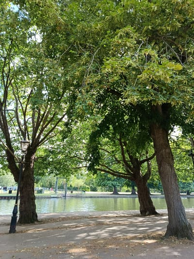 This media file captures a tranquil waterside scene in Bedford, United Kingdom. The foreground is dominated by the thick trunks of mature trees with lush green canopies, casting dappled shadows on a paved pathway. A vintage lamppost stands near the left edge of the frame, adding a touch of old-world charm. Beyond the trees, a calm body of water reflects the greenery and the bright, sunny sky.
In the mid-ground, the water is bordered by a manicured lawn and more trees, creating a picturesque park-like setting. In the distance, a bridge-like structure with a metal framework is visible, suggesting a public park or recreational area. There are some people scattered across the landscape, engaged in leisurely activities, though they are too small and indistinct to discern specific actions. The overall atmosphere is peaceful and idyllic, indicative of a pleasant day, likely in the late morning or early afternoon given the strong sunlight and the shadows. The weather appears to be fair and warm, perfect for outdoor enjoyment. There is no discernible text in the image.