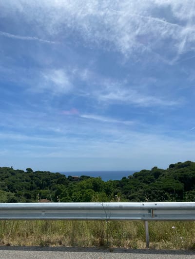 This image captures a daytime coastal landscape from a roadside perspective in Sant Pol de Mar, Spain. The upper two-thirds of the frame display a light blue sky with scattered, wispy cirrus and cirrocumulus clouds; a faint, subtle magenta tint is discernible within some clouds in the upper-middle section. A clear horizon separates the sky from the dark blue expanse of the Mediterranean Sea, which occupies the mid-horizontal plane.

The midground is characterized by densely forested hillsides, predominantly covered with evergreen trees, which slope downwards towards the coast and flank the sea on both the left and right sides of the image. Two structures with reddish-brown tiled roofs are visible among the foliage: one partially obscured by trees on the right, and a smaller building positioned more centrally.

The foreground features a silver-colored metal W-beam guardrail extending horizontally across the lower third of the image. The guardrail shows visible bolts and structural connections. Beneath it, a strip of dry, light brown and green wild grasses and weeds grows along the roadside. A narrow section of dark grey asphalt road is visible at the very bottom of the frame. No individuals, animals, or active vehicles are present within the scene.
