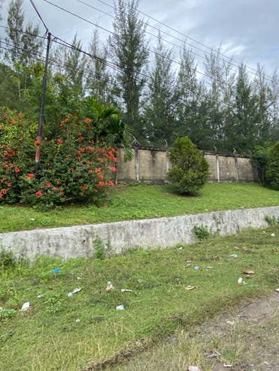 This is a landscape-oriented, outdoor photograph of a grassy area with a concrete path. The scene appears to be slightly neglected, with scattered litter visible on the grass, particularly along the path. In the background, there is a concrete wall, beyond which are trees and a few telephone poles with numerous wires. A bush with vibrant orange flowers is prominent in the foreground, adding a splash of color to the otherwise muted palette of greens and grays. The sky is overcast, suggesting a cloudy or possibly rainy day. The image conveys a sense of an everyday, outdoor environment, possibly a public space or a residential area, in Lamkruet, Indonesia. No people are visible in the frame, and no text is discernible. The lighting is diffused, consistent with an overcast sky, and it is difficult to determine the exact time of day.