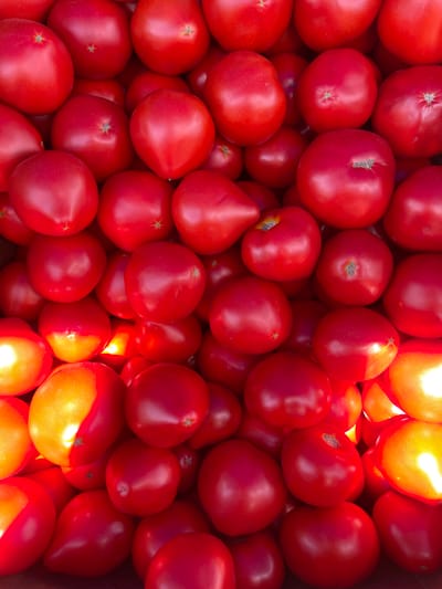 A close-up, overhead shot displays a densely packed collection of ripe, red tomatoes. The fruits are round to oval in shape and exhibit a smooth, glossy skin. Some tomatoes are brightly illuminated, showcasing a warm, yellow-orange glow where light hits them, while others are in shadow, appearing a deeper crimson. The arrangement is natural, with the tomatoes piled on top of one another, filling the frame from edge to edge. There is no indication of the location in Suceava, Romania, within the image itself. The scene is solely focused on the produce.