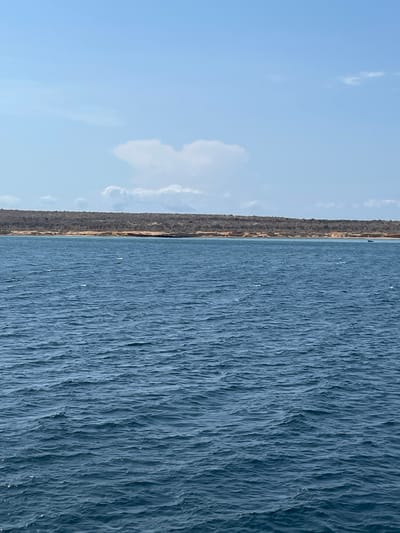 The image presents a broad seascape, likely a coastal view, divided horizontally into three primary elements: water, a distant landmass, and sky. The majority of the frame is dominated by a vast expanse of dark blue water, characterized by numerous small ripples and waves that create a textured, choppy surface. Patches of white glints across the water indicate sunlight reflecting off the moving surface.
Along the horizon, a long, low-lying landmass stretches across the entire width of the frame, separating the water from the sky. This land appears rugged and dark, possibly covered in dense, dark vegetation or rocky terrain. A very faint, lighter line can be observed at the immediate edge of the water against the distant shore.
Above the landmass, a pale blue sky fills the upper portion of the image. It is largely clear, with several scattered, wispy white clouds visible, particularly concentrated towards the upper right quadrant. No specific human activity is discernible, though extremely small, dark, indistinct shapes on the water near the distant shore might suggest boats or other marine objects.
The scene depicts daytime conditions, evidenced by the bright, clear sky and the reflections on the water. The weather appears fair with some wind creating the choppy water. There is no visible text in the image.