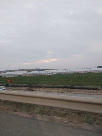 Overcast sky above agricultural land. Green fields stretch toward numerous greenhouses. A triangular road sign with a warning symbol stands near the field's edge. A highway with a guardrail is visible in the foreground. The scene is captured from a moving vehicle.