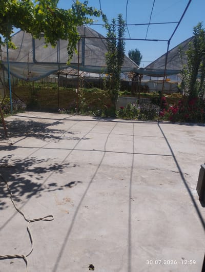 The image depicts an outdoor scene in Quyosh, Uzbekistan, characterized by a concrete ground and a greenhouse-like structure in the background. The foreground is dominated by a textured concrete surface with visible shadows cast by overhead foliage and a metal frame. A light-colored rope is coiled on the ground in the lower left portion of the image.
In the mid-ground, a garden area is visible with a variety of plants and flowers, including red and purple blooms. Behind the garden, a large, translucent structure, likely a greenhouse or a similar agricultural enclosure, is present. This structure has a metal frame and is covered with a light-colored material, possibly plastic sheeting. The sky above is clear and blue.
The overall impression is that of a garden or agricultural area, possibly a backyard or a small farm, on a clear day. The date and time stamp in the lower right corner indicates "30.07.2026 12:59". There are no people or animals visible in the image.