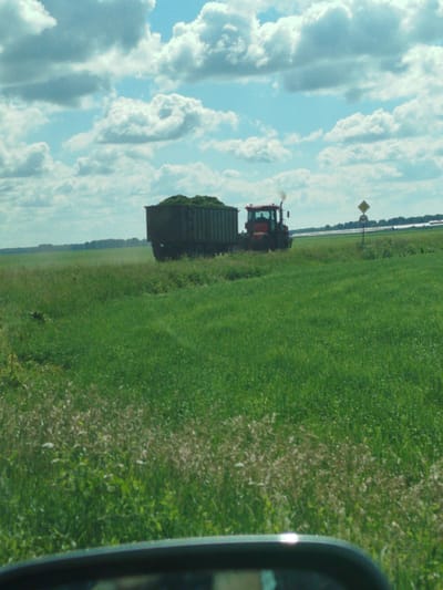 This media file captures a rural scene with a tractor and a trailer filled with green forage in a grassy field under a cloudy sky. The tractor, a prominent red object, has smoke emanating from its exhaust, suggesting it is actively operating. The trailer is dark and appears to be a heavy-duty agricultural implement. The field itself is vast and verdant, with patches of lighter, possibly flowering, vegetation interspersed within the dominant green. In the background, a line of trees marks the horizon, with hints of distant structures or fields beyond. A yellow diamond-shaped sign with a black border and a black symbol, along with a smaller circular sign below it, are visible on a post to the right of the tractor, indicating some form of road or traffic guidance. The lighting suggests it is daytime, possibly late morning or afternoon, with the clouds creating a dynamic sky. The overall atmosphere is one of agricultural activity and the vastness of the countryside. No people are clearly visible in the image, but the presence of the tractor and trailer implies human involvement in the farming operation. The location context is provided as Бигила, Russia, which places the scene in a rural Russian setting.