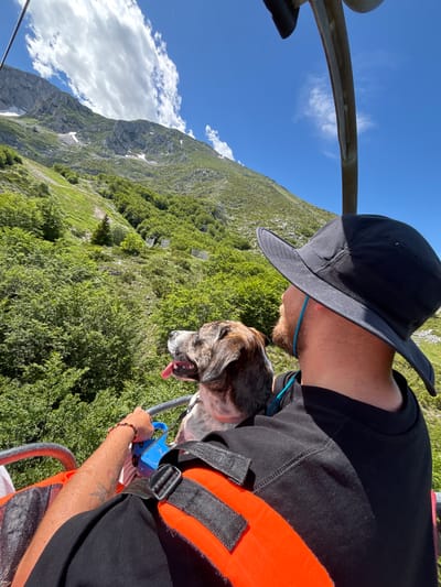 In Motički Gaj, Montenegro, a man wearing a black hat and black shirt rides a ski lift with a dog. The man, seen from behind and the side, has a beard and is looking up at the mountainous landscape. The dog, a brindle-colored breed, sits in front of him, with its tongue hanging out and its head turned to the side. They are on a ski lift with orange padding visible. The background shows a steep, green mountainside with trees, rocks, and patches of snow under a bright blue sky with white clouds.